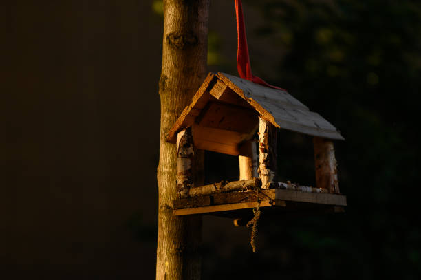 Vogelfutterhaus im Hausgarten